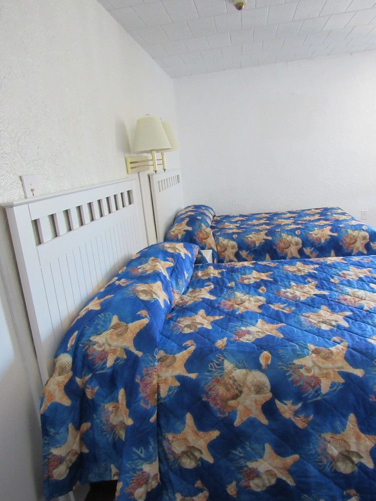 Coral Sands Motel 大洋城 外观 照片